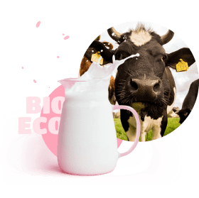 bio eco milk